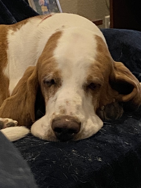 Walter