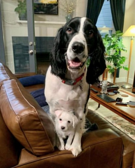 Augie and Pete