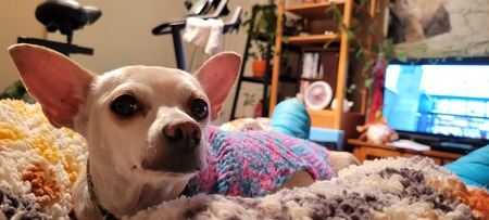 Abby