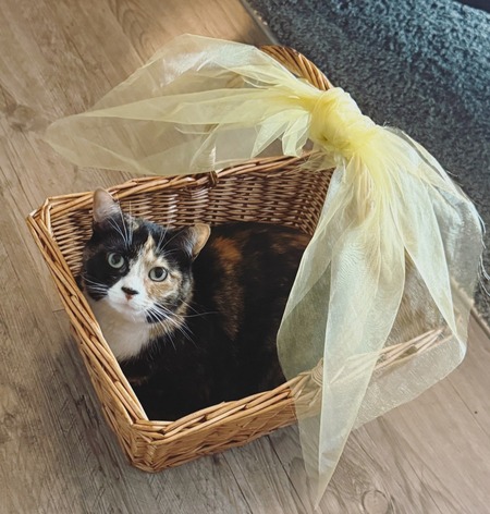 Kiki