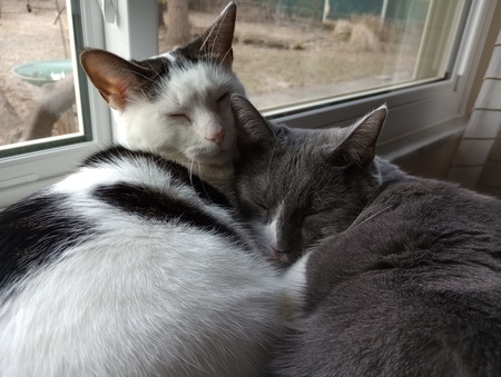 Ruby & Coco