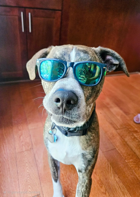 Franklin