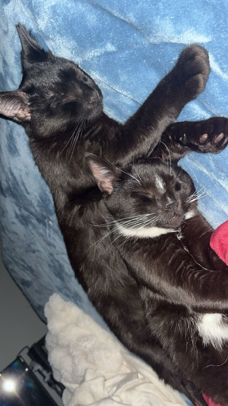 Juno and Neo