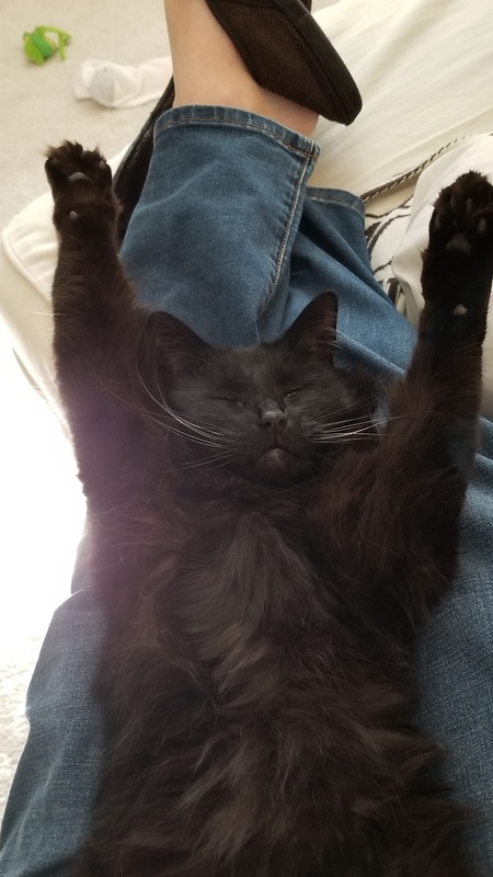 Remy