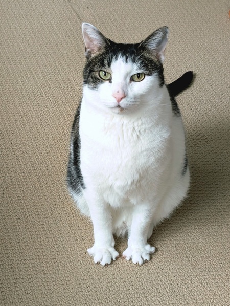 Huxley