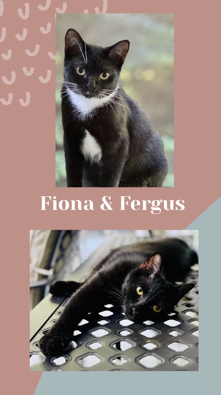 Fiona and Fergus