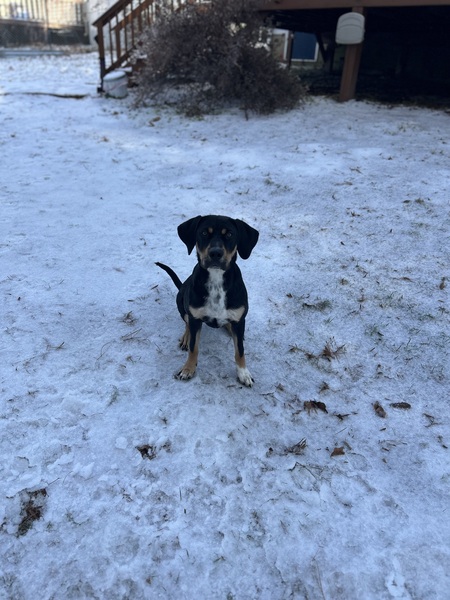 Walter