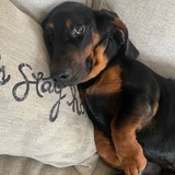 Entry image for Walter