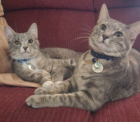 Amara & Shadow