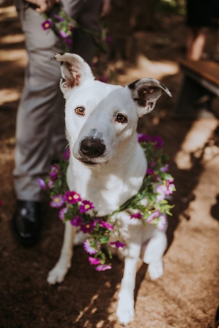 Sadie 1