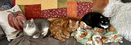 Ford, Copper & Emmy