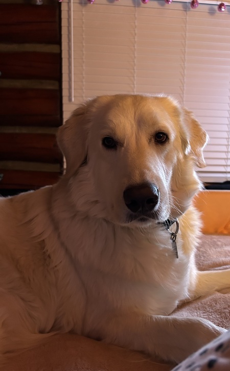 Otis