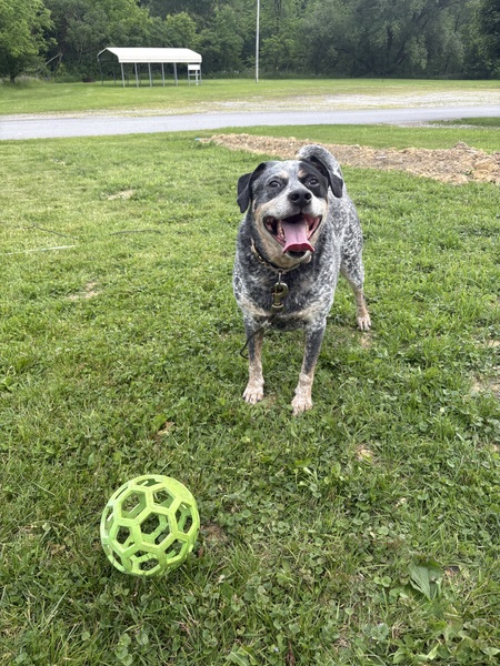 Buster