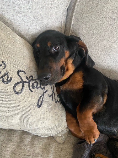 Walter