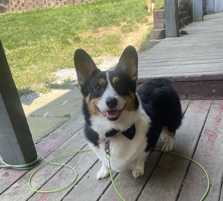 Sir Remington