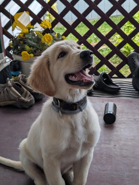 Tucker 2