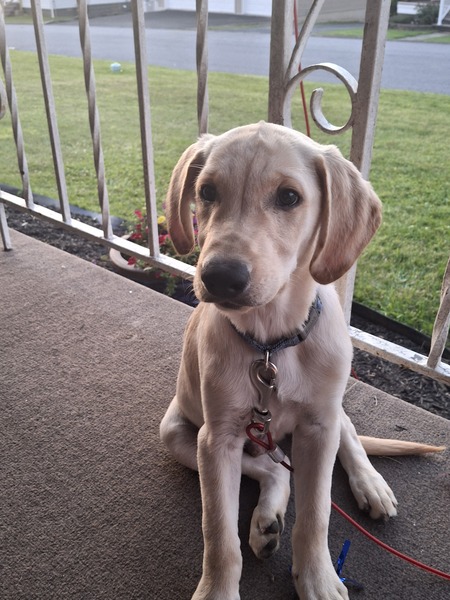 Doug 