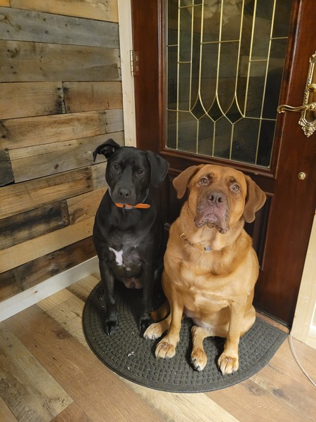 Ranger & Sadie