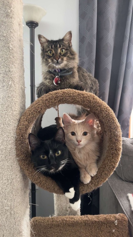 Karma/Omar/Marbie