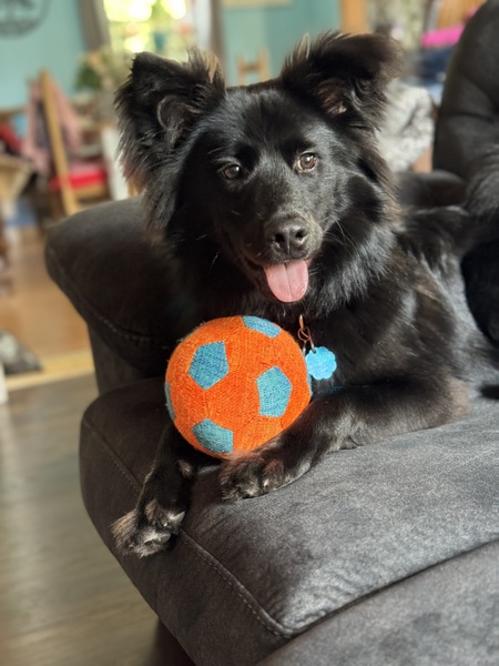 Buddy