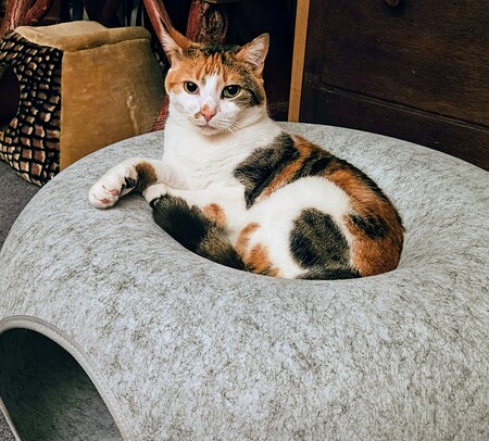 Molly
