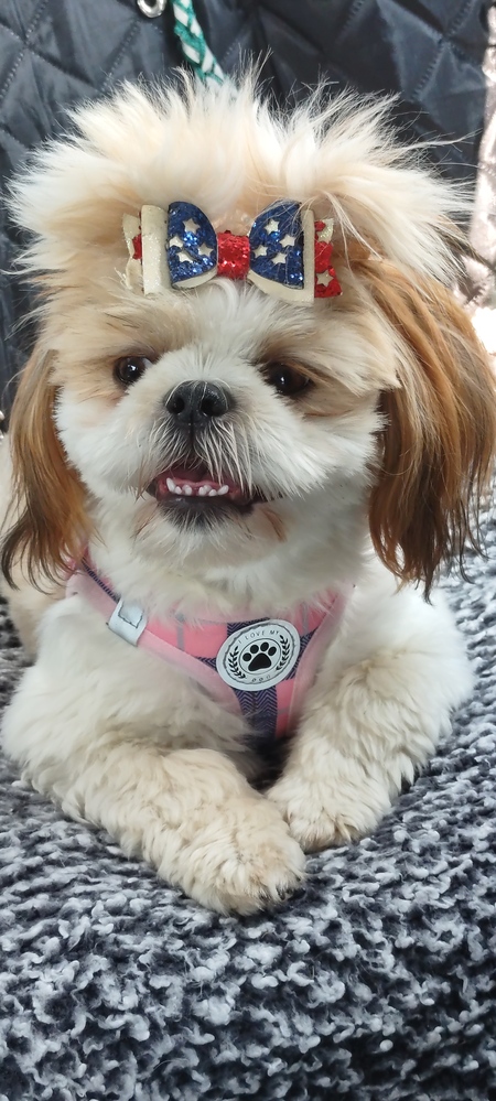 Rosie