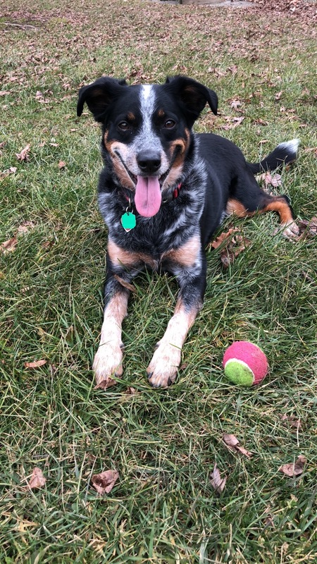 Franklin 