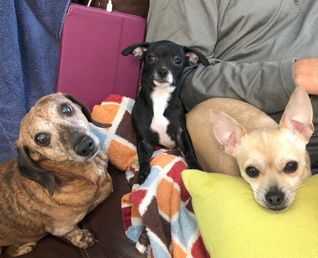 Aubrey, Bodie Clyde & Paris Hilton