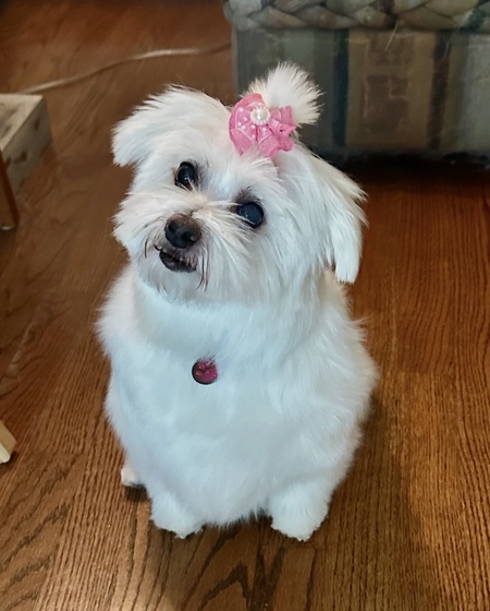 Ella