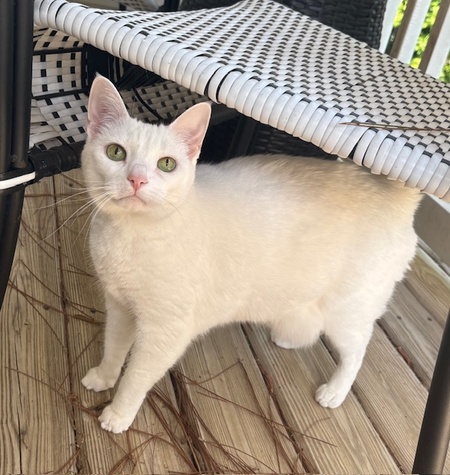 Zoe