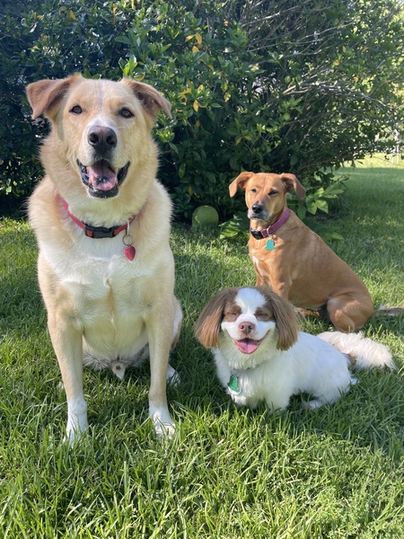 Toby, Garth Brooks and Missi