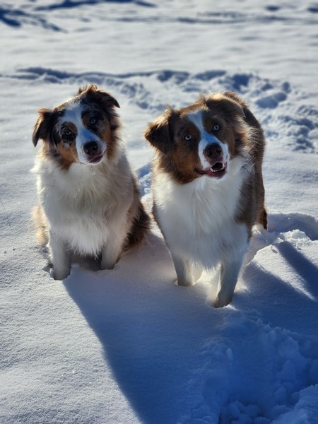 Beatrice and Cora Carico 