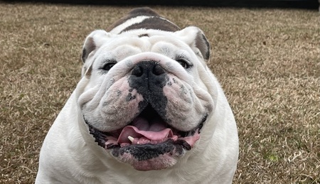 Gus