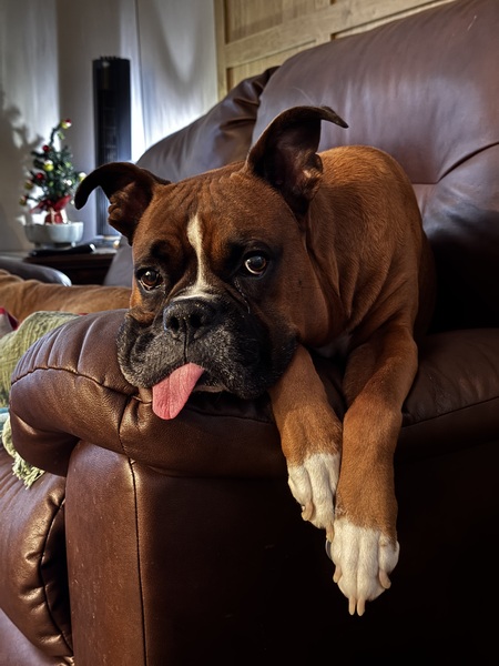 Kaiser