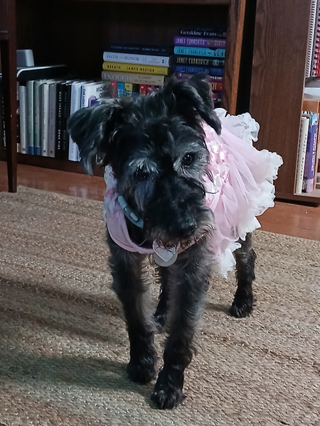 Winnie
