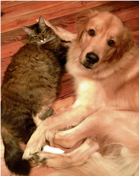 Two Socs & Dusty