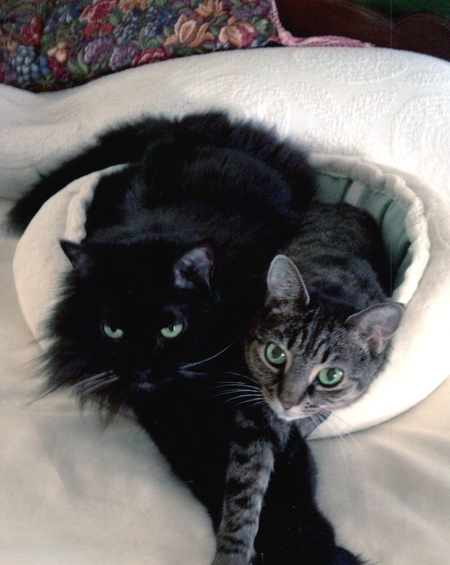 BooBoo & PrissyTail