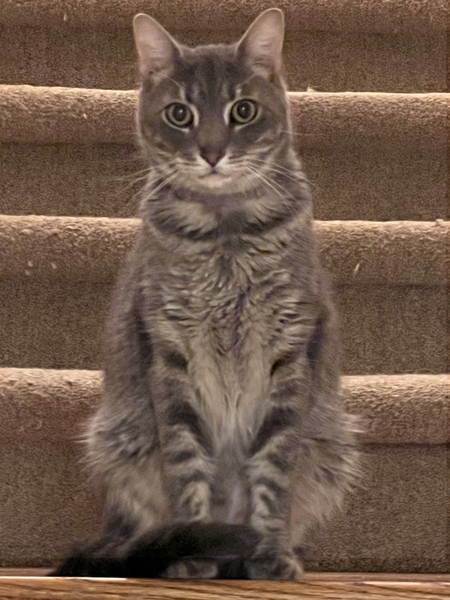 Gabriel