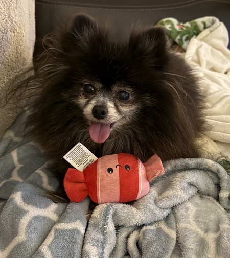 Mowgli