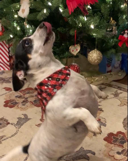 Charlie