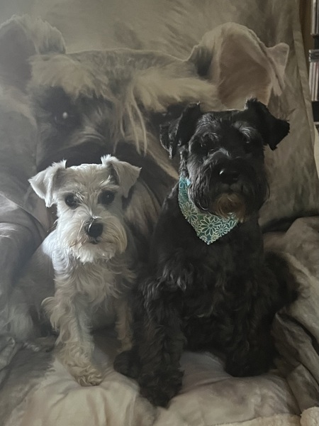 Maggie & Molly