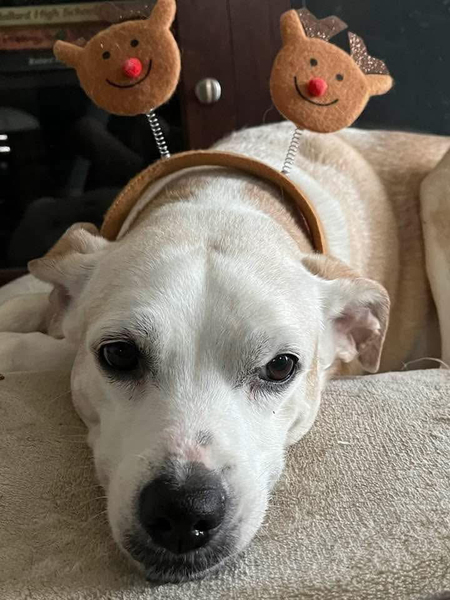 Maggie