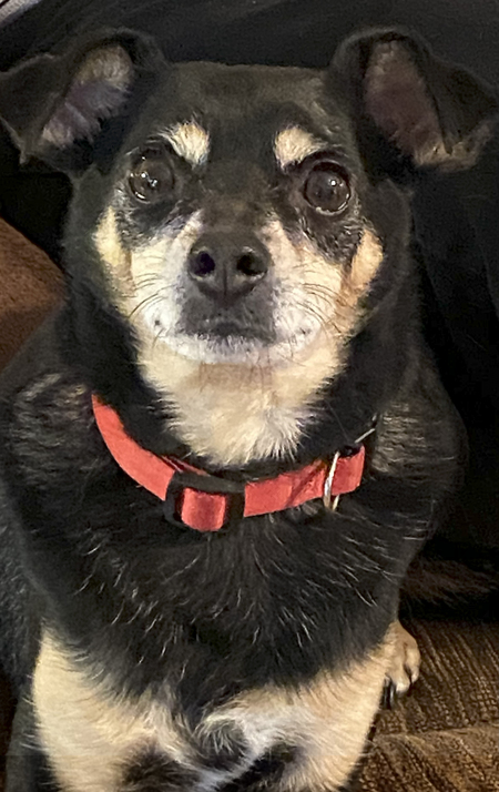 Oliver