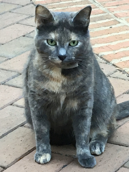 Betty