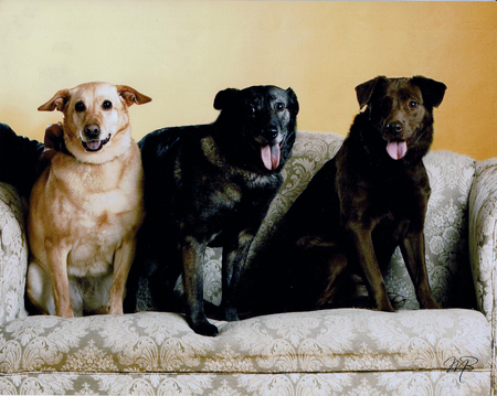 Sandy, Angel & Faith