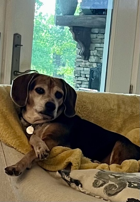 Tucker