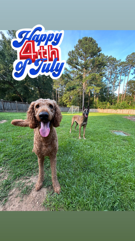 Henry & Okie