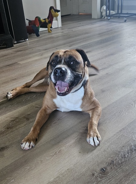 Max