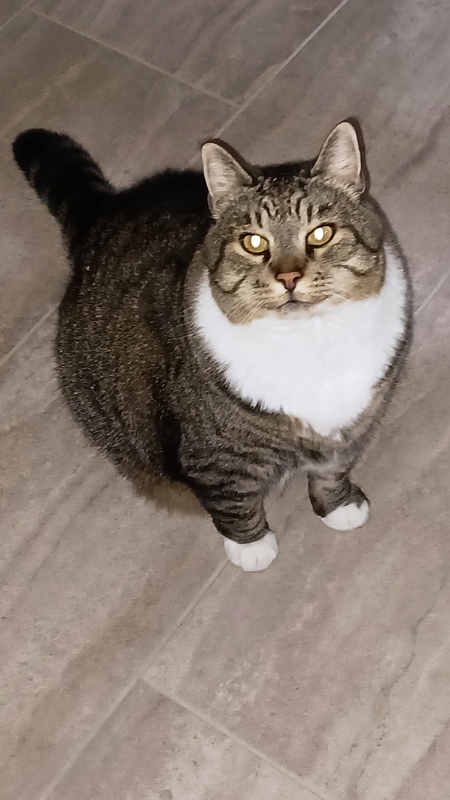 Noble