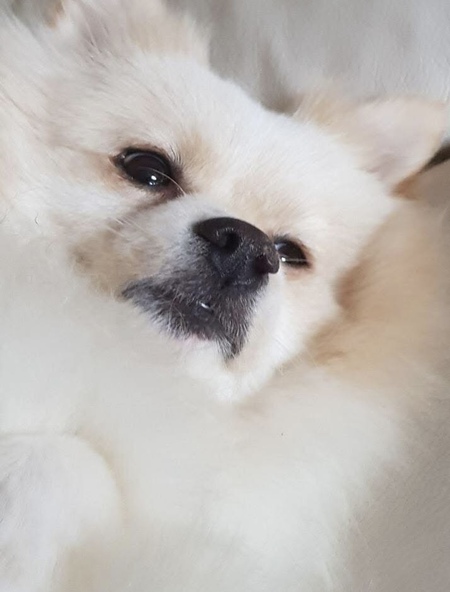 Molly